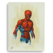Load image into Gallery viewer, Spider-Man- Johnny Desjardins Original Art